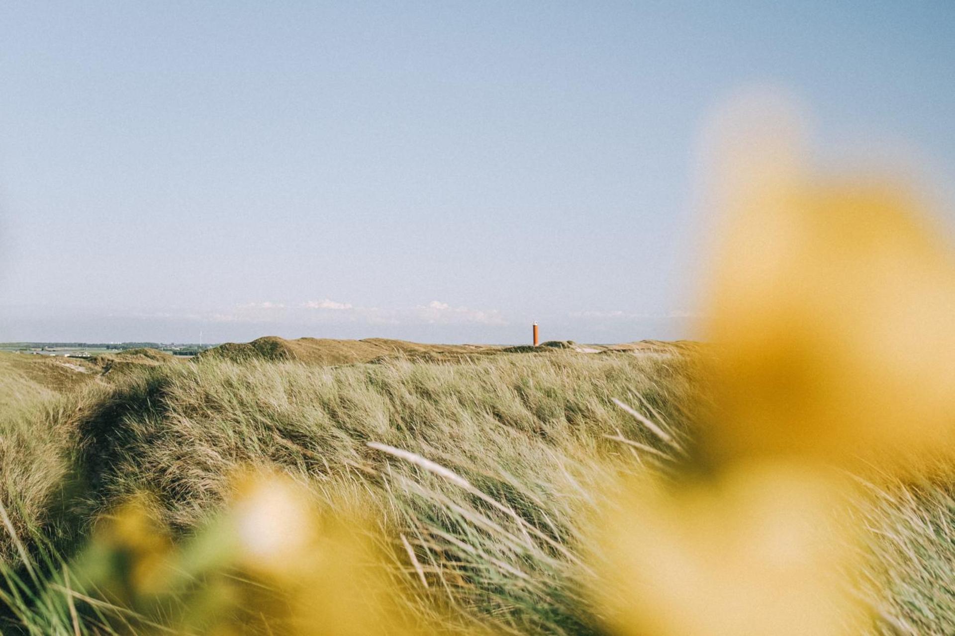 Beach Appartement 17 - Aan De Duinen, Callantsoog Aan Zee Eksteriør bilde